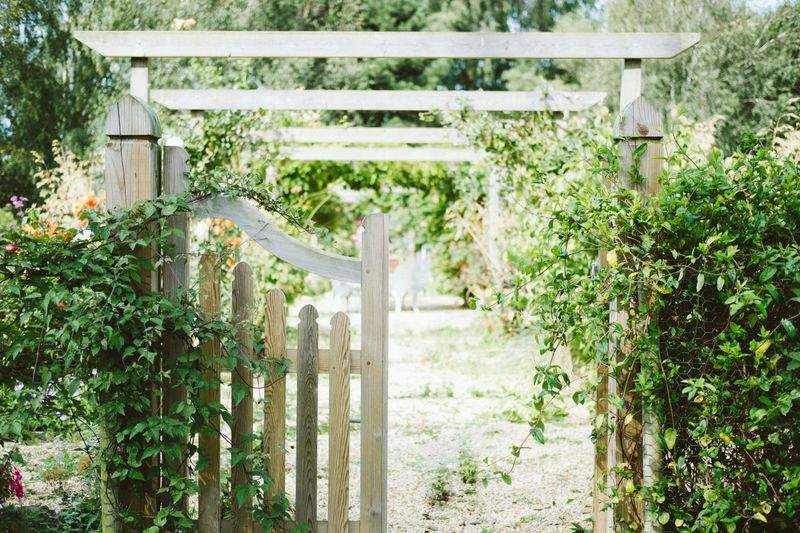 春の庭を心地よく整えるための植栽メンテナンス